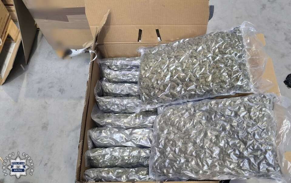 Znaleziono kilkadziesiąt kilogramów marihuany. / autor: https://opolska.policja.gov.pl/