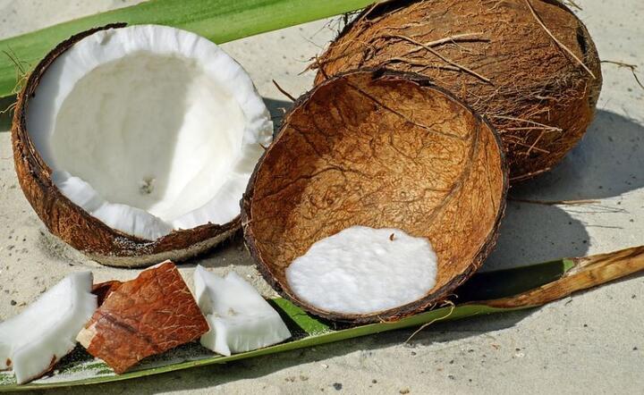 Orzech kokosowy / autor: Pixabay 