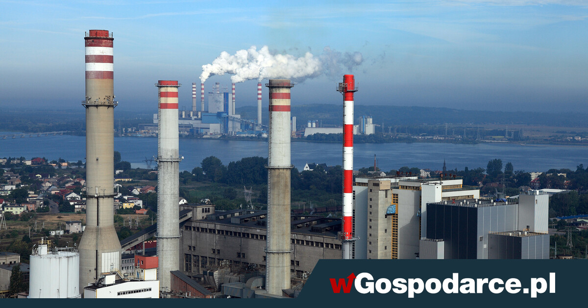 Atom dla Konina czyli musztarda po obiedzie