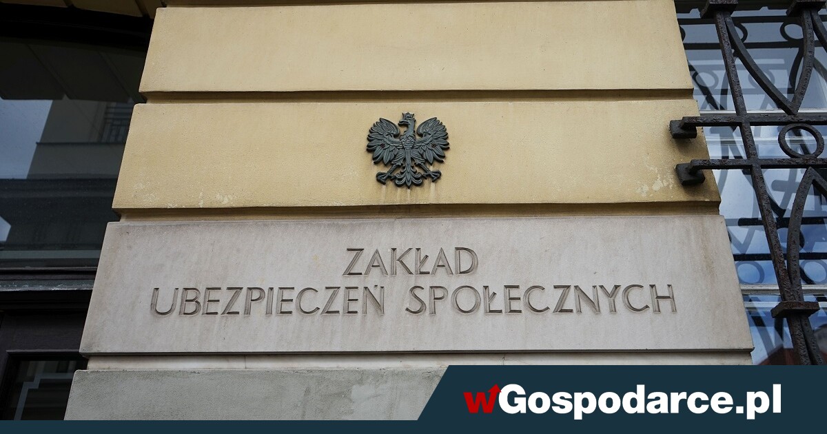 W 2024 r. 83,5 proc. wydatków ZUS pokrywały składki