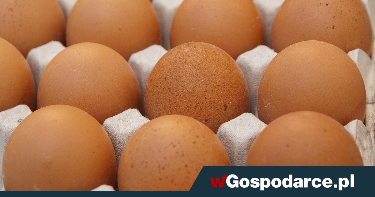 Jajka choćby o 60 proc. droższe