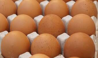 Jajka nawet o 60 proc. droższe