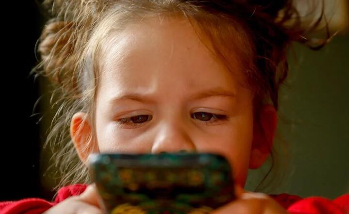 Dzieci do 2. roku życia w ogóle nie powinny być eksponowane na ekrany. Z kolei dzieci miedzy 2. a 6. rokiem życia mogą korzystać z urządzeń ekranowych ok. pół godziny dziennie / autor: Pixabay
