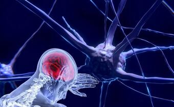 Co z uszkodzeniem mózgu po COVID-19? Znamy wyniki badań!