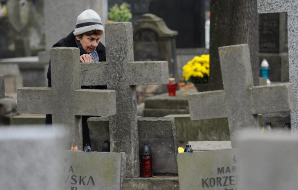 fot. 	PAP/Bartłomiej Zborowski