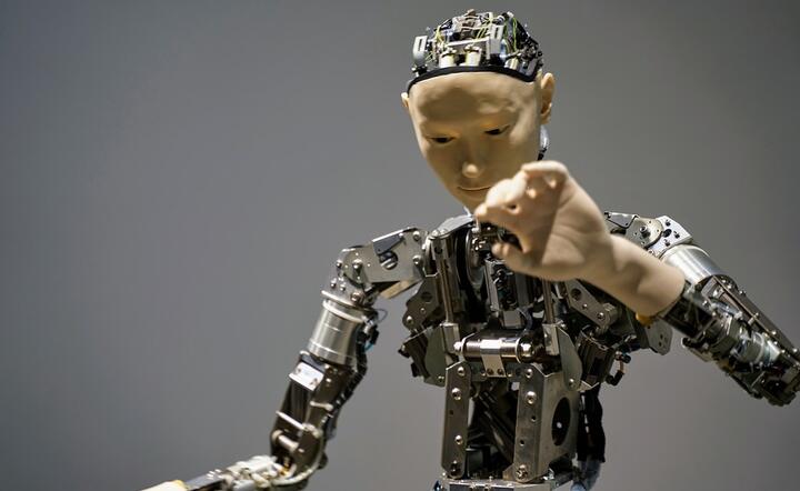 Firmy inwestują w robotyzację ze względu na problemy z zatrudnieniem i potrzebą optymalizacji procesów / autor: Pixabay