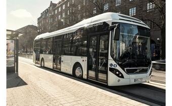 Autobusy elektryczne z Polski podbijają rynki Europy
