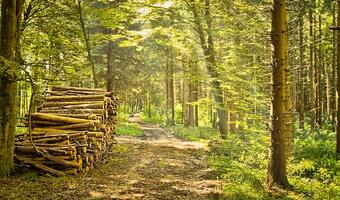 Chiny są za ograniczeniem emisji CO2