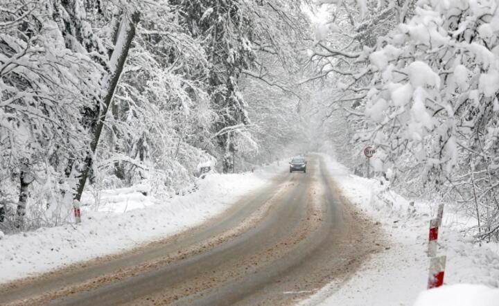 Gruba pokrywa śnieżna po obfitych opadach w okolicach Hajnówki, 29 bm. Na drogach Podlasia panują trudne warunki, miejscami drogi są czarne i mokre, a na niektórych zalega błoto pośniegowe / autor: PAP/ Artur Reszko