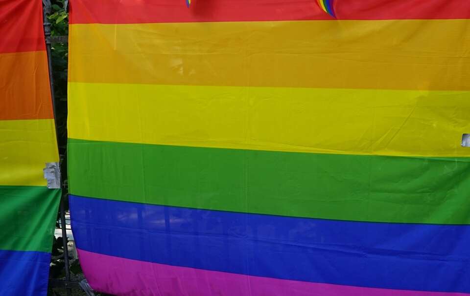 Что будет делать правительство в связи с решением АНБ о "гомосексуальных браках"?