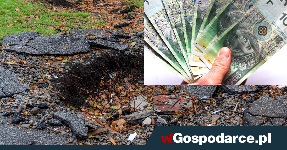 Otrzymasz odszkodowanie za dziurę w asfalcie. Wystarczy jeden formularz