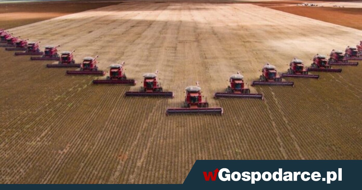 110 ukraińskich agroholdingów wyciąga ręce po pieniądze UE