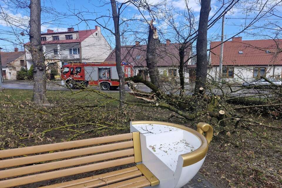 Zerwane linie, uszkodzone dachy. Straż walczy ze skutkami pogody