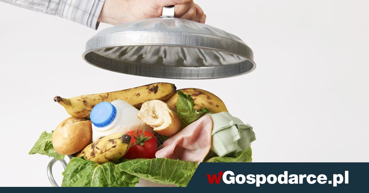 Koniec z marnowaniem żywności i odzieży