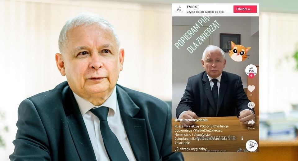 Jarosław Kaczyński  / autor: fratria