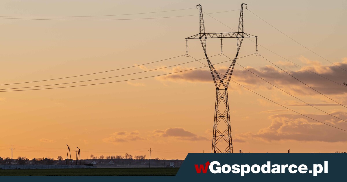 Będą rekompensaty za słupy, ale trzeba się spieszyć!