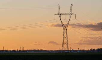 Będą rekompensaty za słupy, ale trzeba się spieszyć!