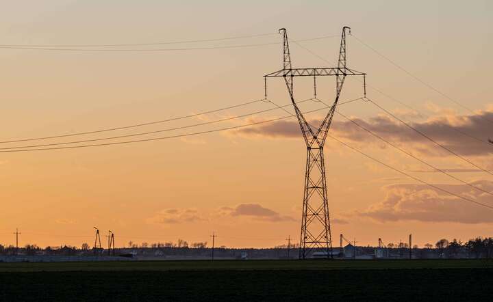 Kwoty, jakie można odzyskać wahają się od kilku do nawet kilkudziesięciu tysięcy złotych. / autor: Freepik