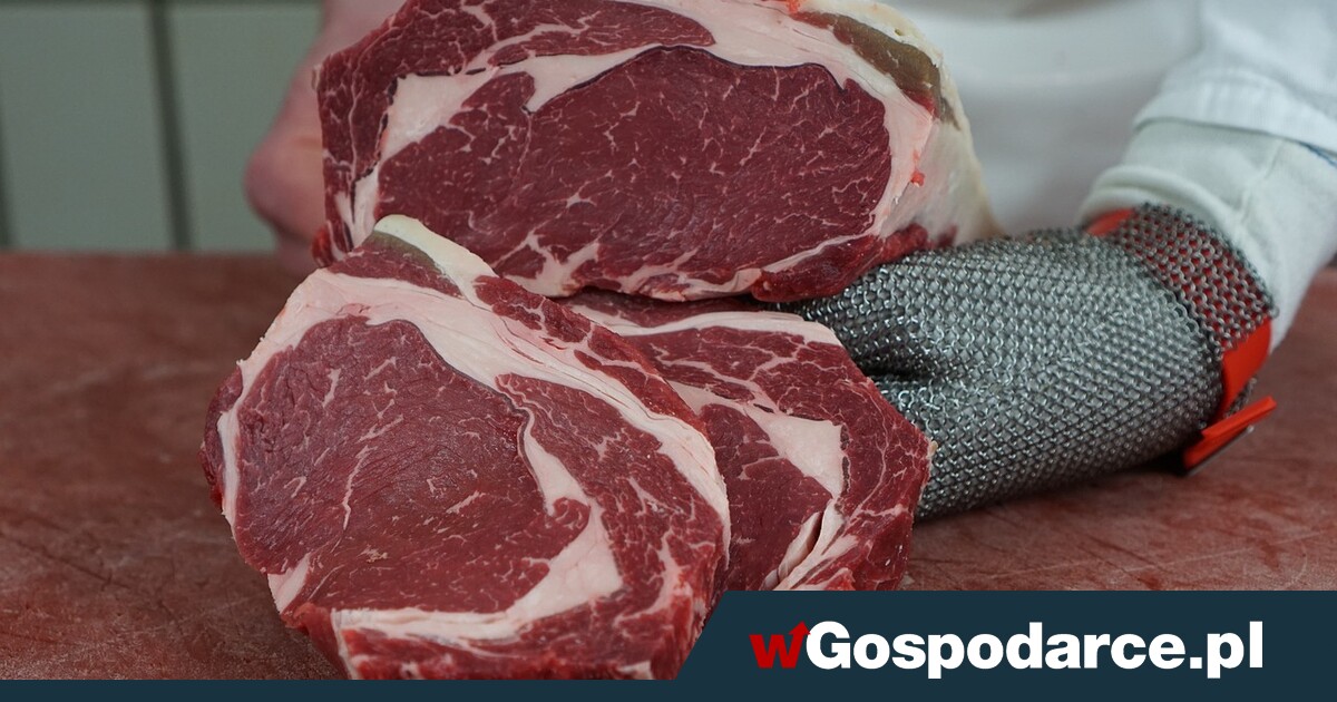 Hamburgery z laboratorium coraz bliżej