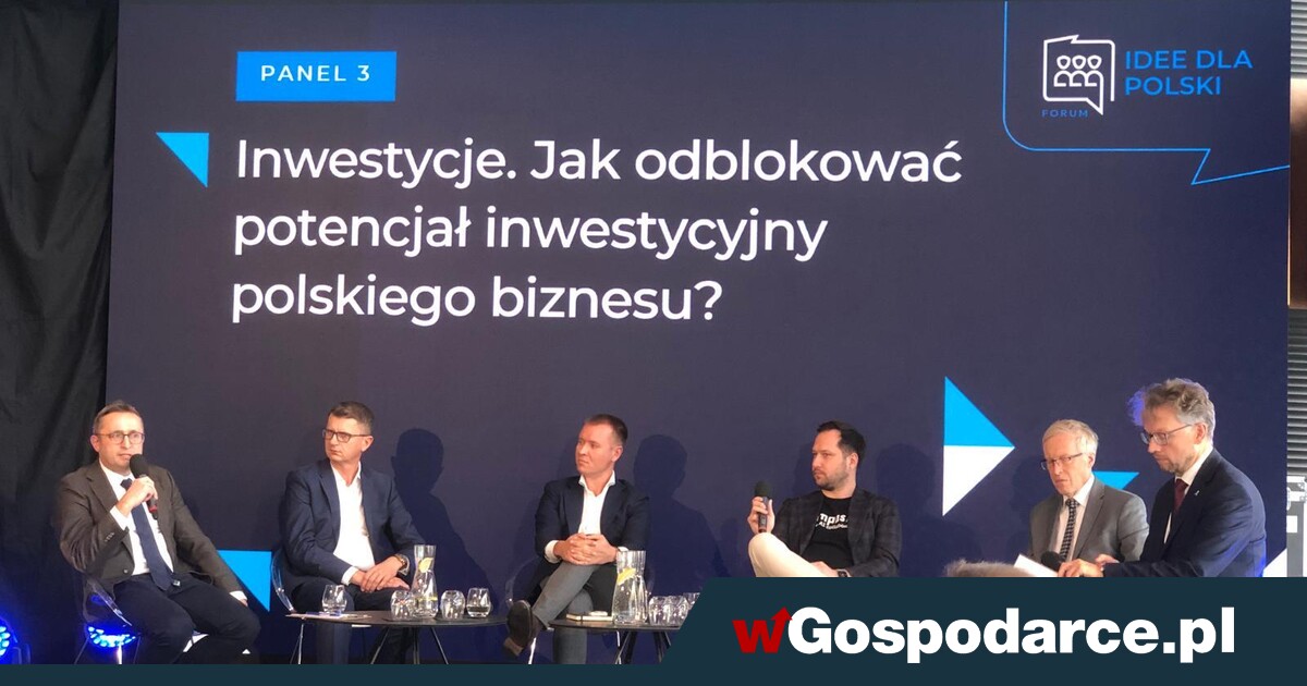 Forum Idee dla Polski: inwestycje w odwrocie