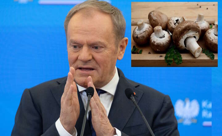 Szef rządu Donald Tusk / autor: Fratria/Pixabay