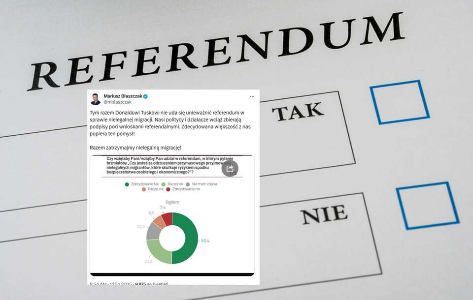 referendum / autor: Fratria