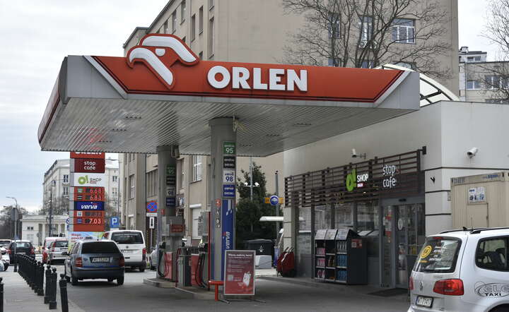 Orlen / autor: Fratria