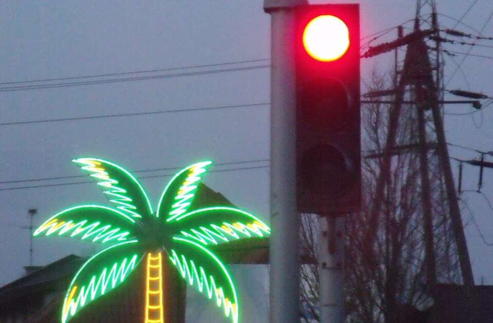 Fot. wPolityce.pl