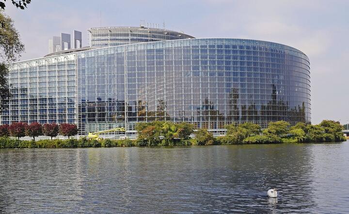Zdjęcie reprezentacyjne - Parlament Europejski w Strasbourgu / autor: Pixabay/hpgruesen
