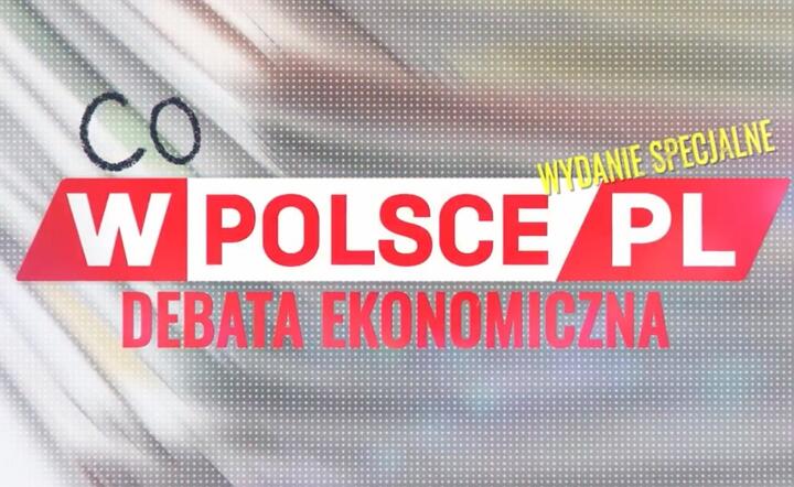 Debata gospodarcza wPolsce.pl / autor: Fratria