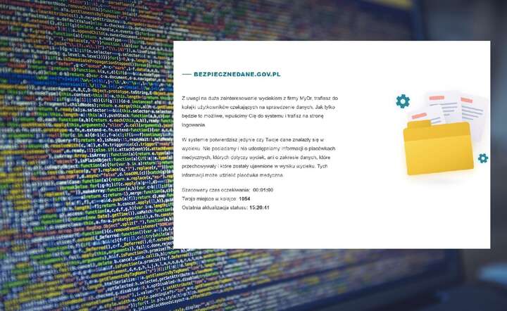 Screen strony z sobotniego popołudnia z kolejką blisko 2000 oczekujących na sprawdzenie danych / autor: Pixabay / gov.pl